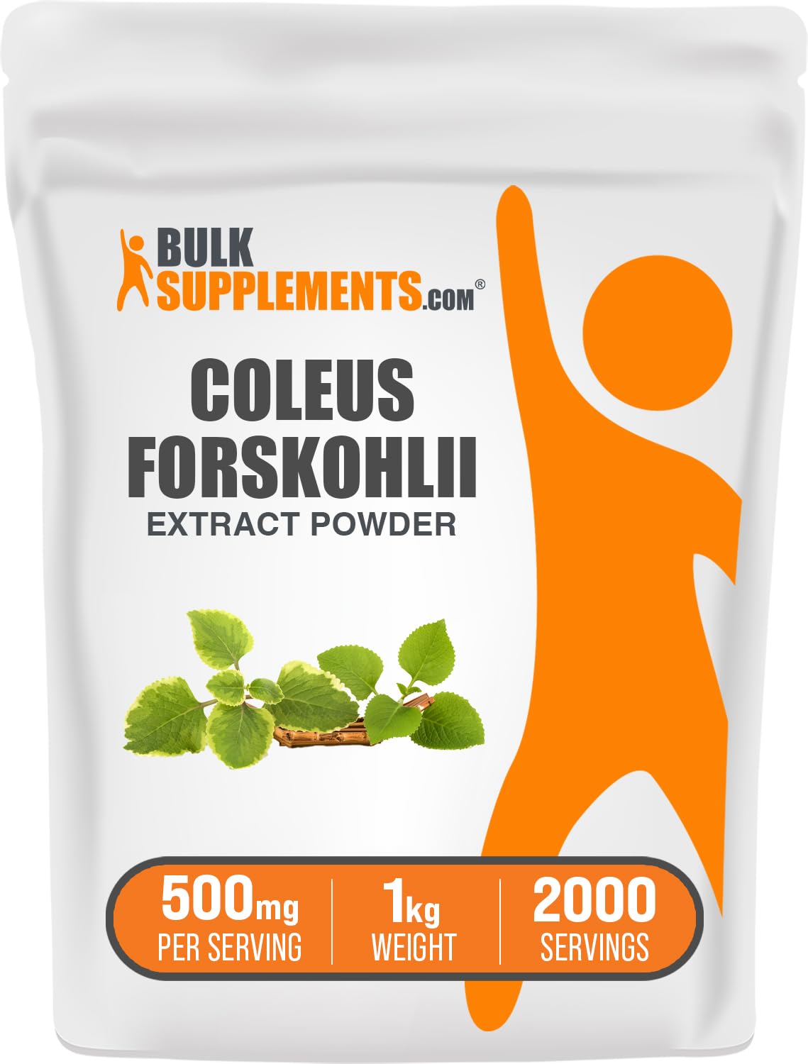 BulkSupplements.com Coleus Forskohlii Extract Powder - Forskolin Supplement, Forskolin Powder - Herbal Supplement, Gluten Free, 500mg per Serving, 100g (3.5 oz) (Pack of 1) — Amazon image 6