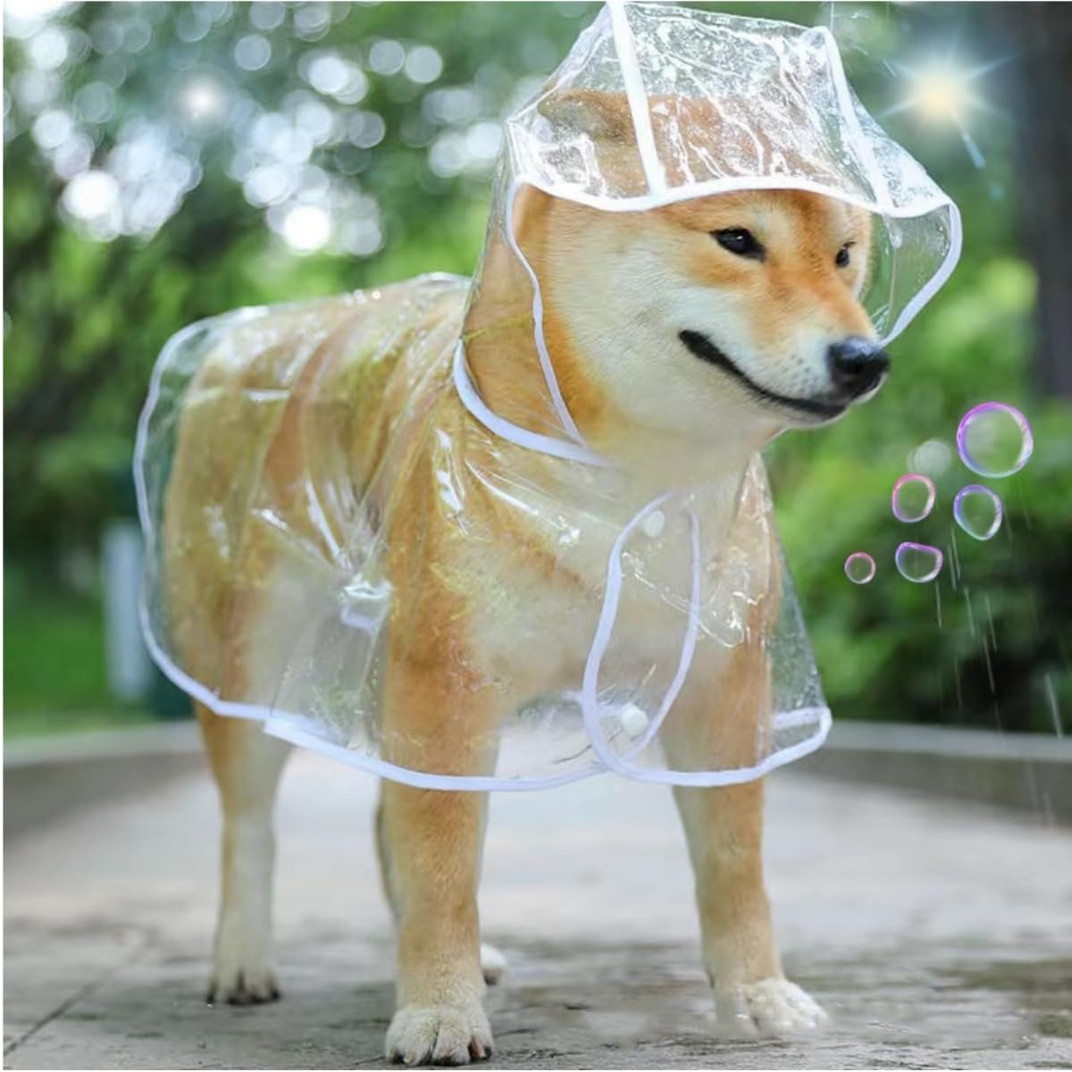 Imperméable pour Chien, Poncho de Pluie en PVC Transparent, Chien à Capuche, Vêtements de Pluie, Taille 52 cm