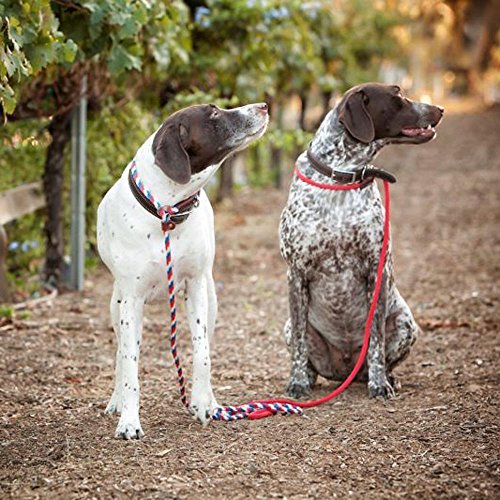 Cesar Millan Leine - Trainingsleine für Hunde - 2in1 Halsband Hund und Leine - Slip Lead - Retrieverleine mit integrierter Halsung (Small/Medium - Farbe: Rot/Olive) - Länge 120 cm, Durchmesser 1 cm