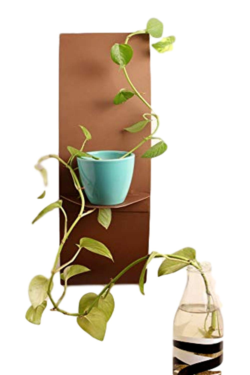 DesignmintBronze C Shelf