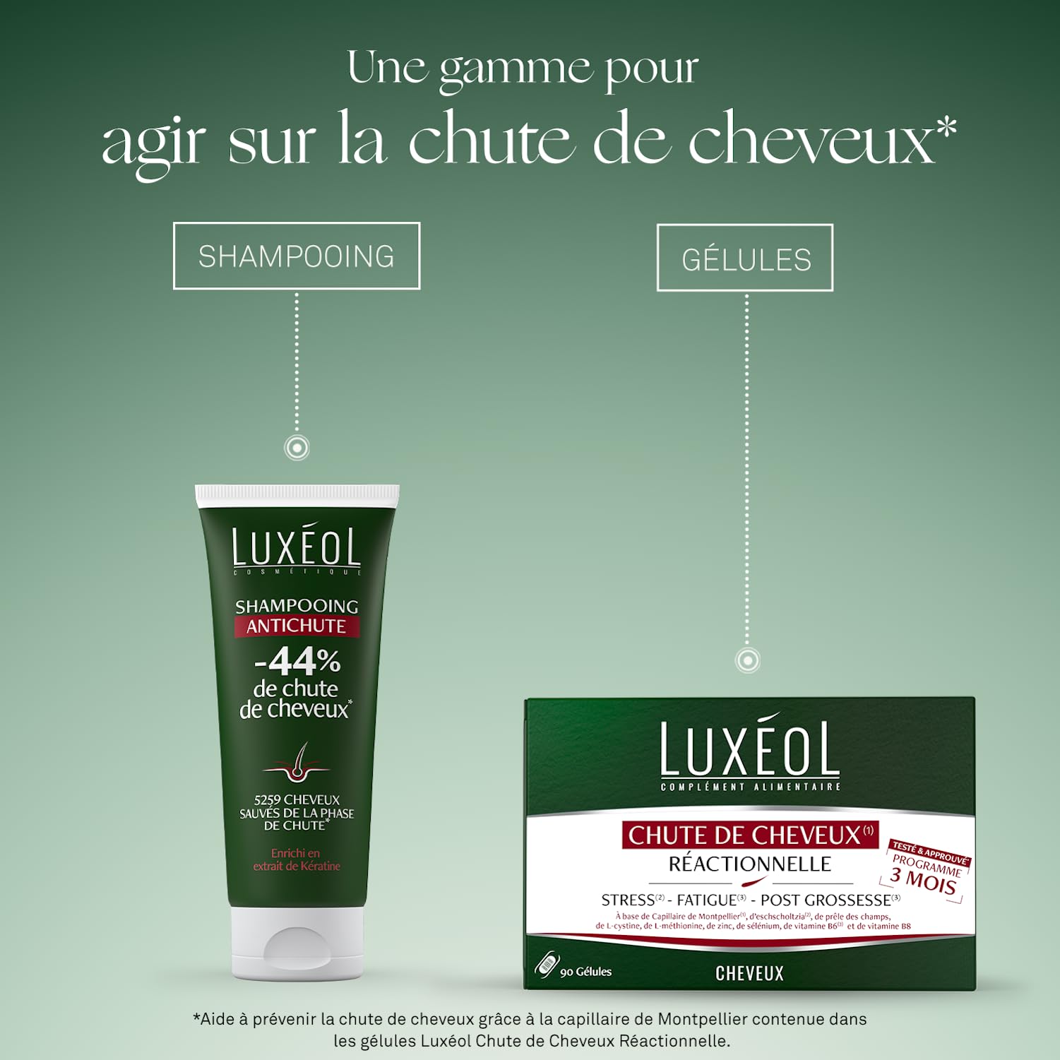 LUXEOL - Chute Réactionnelle (Stress, Fatigue, Post-Partum), -44%(1) De Chute De Cheveux - Complément Alimentaire Chute Cheveux Réactionnelle (3 Mois, 90 Gélules) + Shampooing Antichute 200 ml