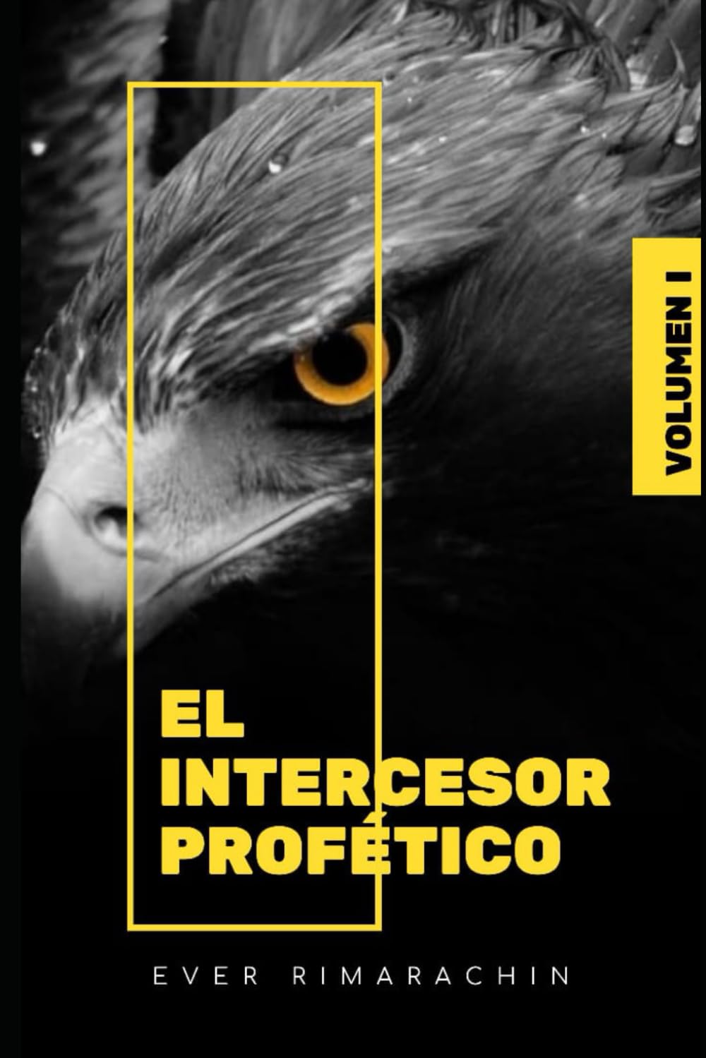 El Intercesor Profético: Un llamado a pararse en la brecha y hacer vallado en la intercesión