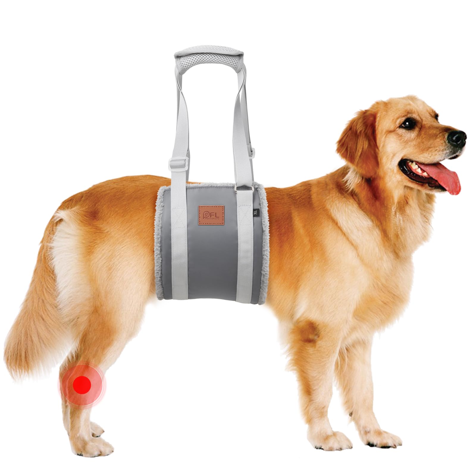 Aide au transport pour chien