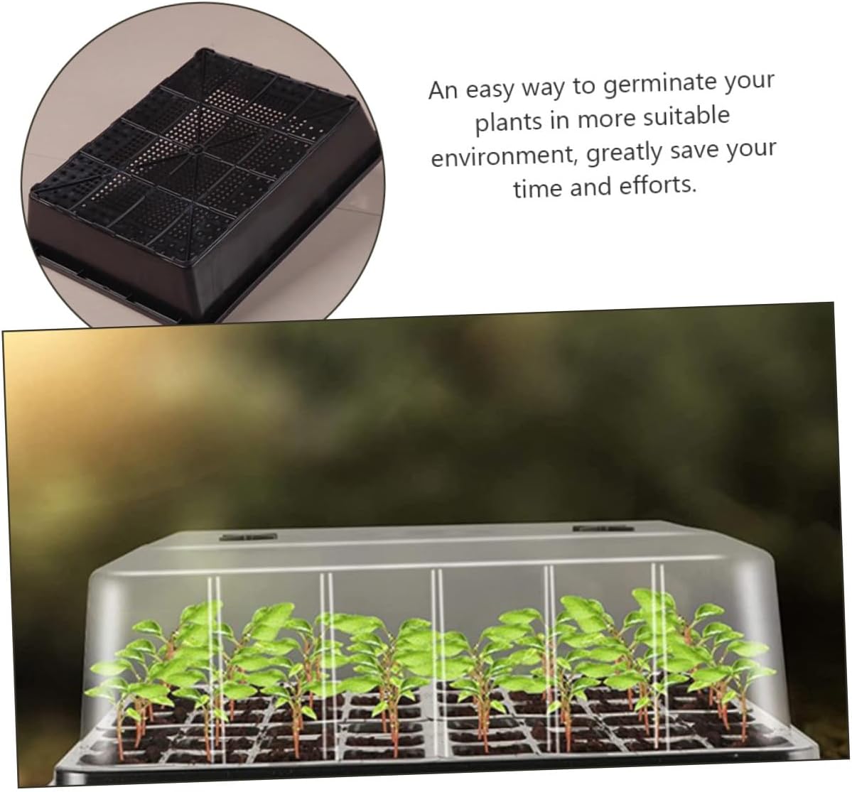 BESPORTBLE Seedling Tray Set with High Dome Humidity Cover, Plastic Plant Growing Trays for Succulents and Carnivorous Plants, Adjustable Height Propagation Planter for Indoor Germination