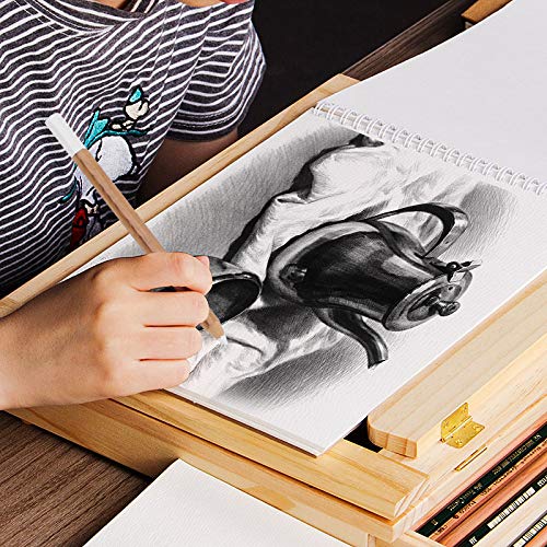 チャコール鉛筆画 Amazon.co.jp: MARKART プロフェッショナルチャコール鉛筆 描画