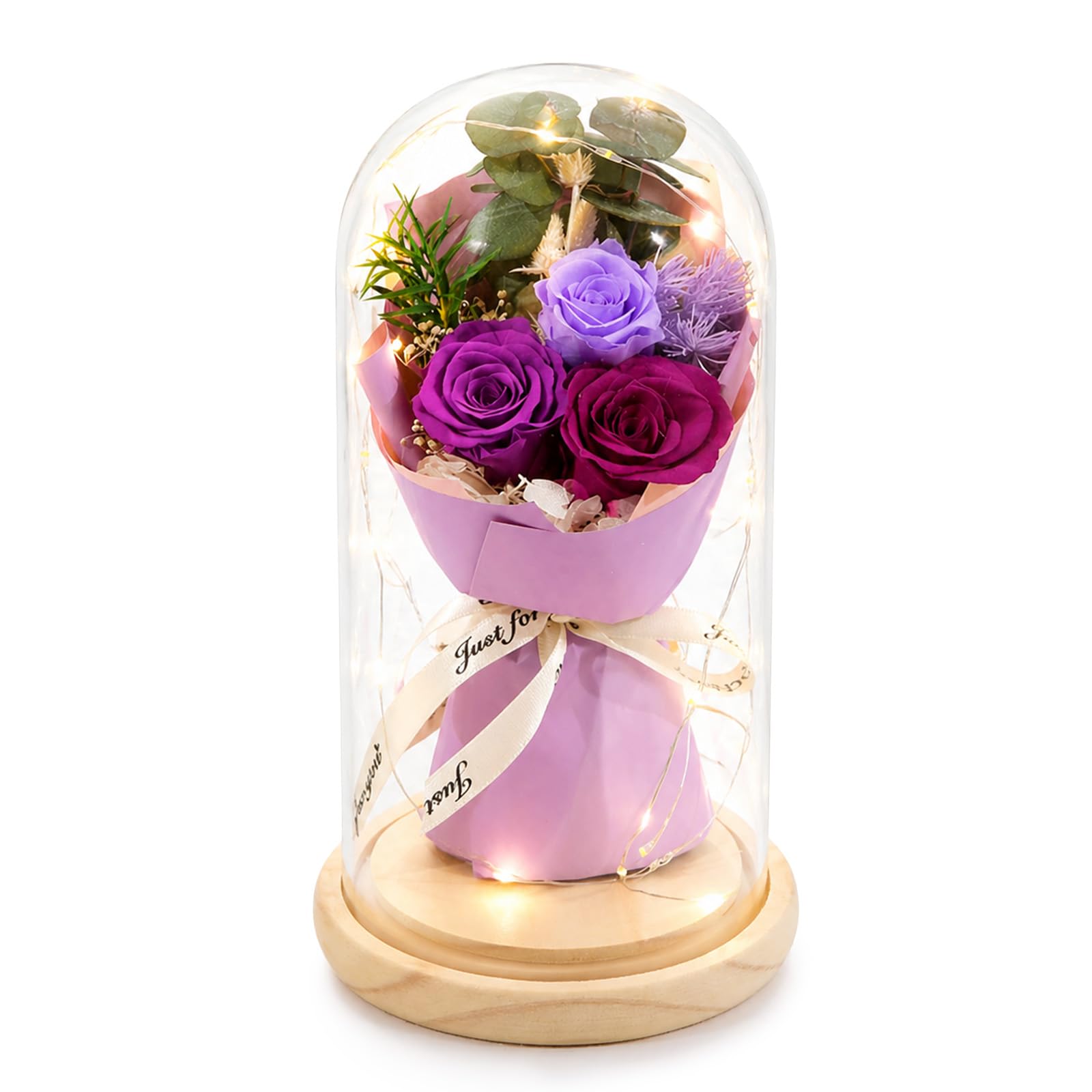 Lian Preserved Flowers in Glass Dome for Her for Women Birthday Gifts for Mom LED Light Romantic Home Decoration Natural Dried Real Flowers