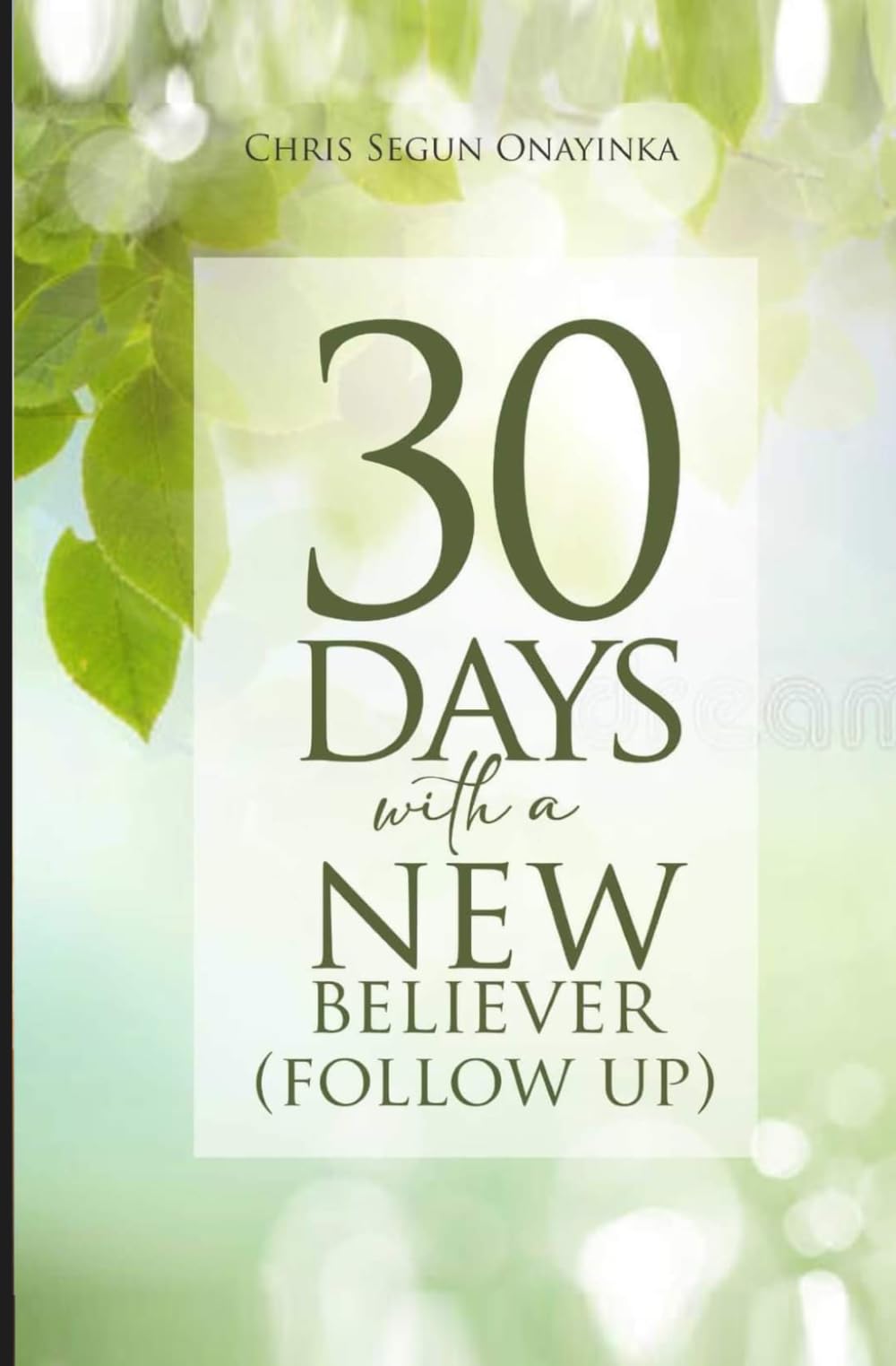 30 Days with a New Believer (Follow Up)