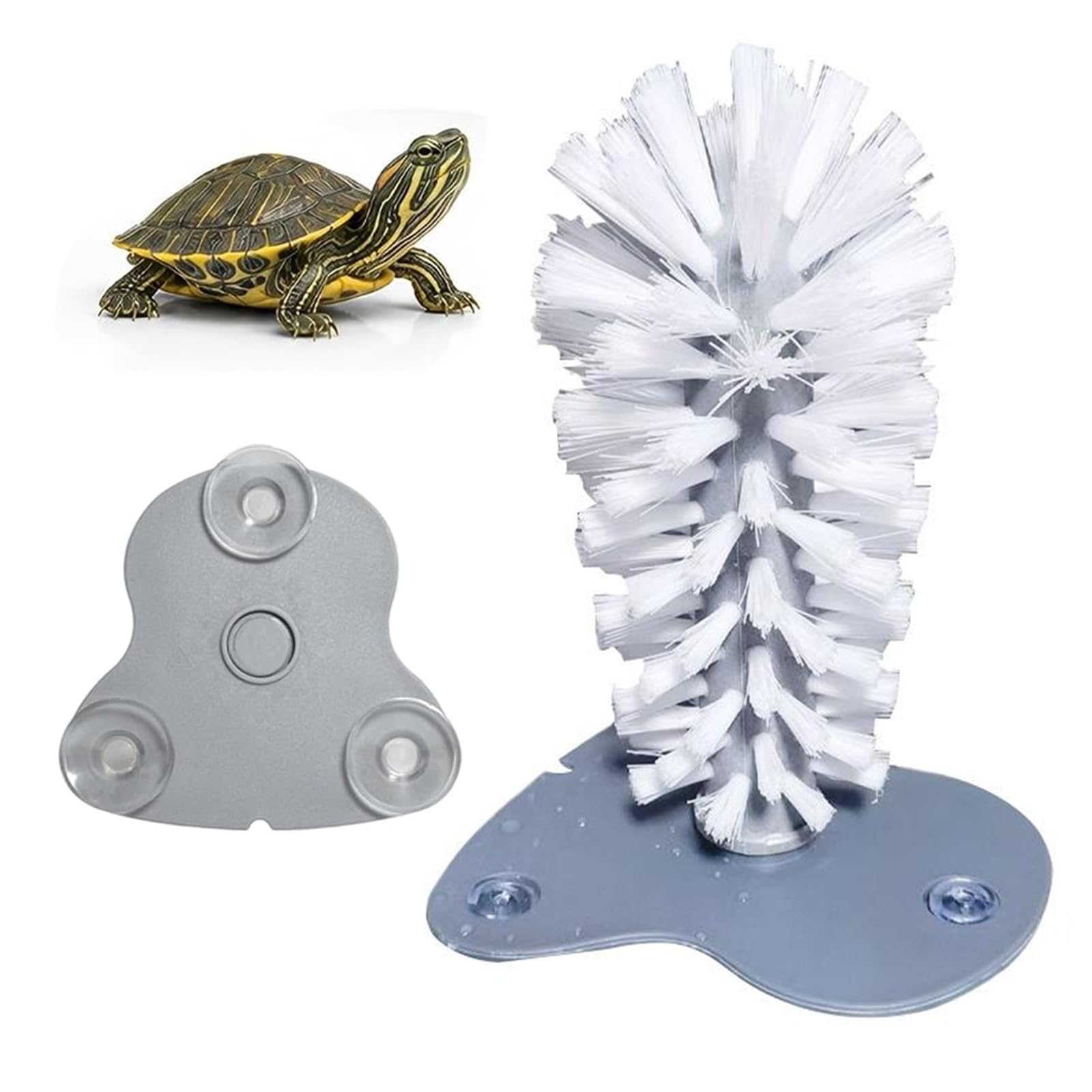 Turtle Brush with Suction Cups,Tortoise Shell Cleaner,Turtle Enrichment Toy