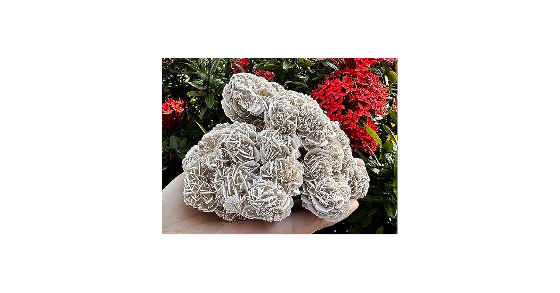 デザートローズ 石膏 大きめ 手のひらサイズの大きな石膏デザートローズ - Etsy 日本