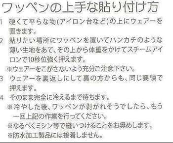 Amazon.co.jp: プレミアリーグ スリーブパッチ 23-24 シーズンから