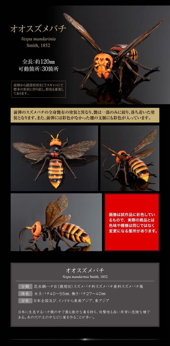 Amazon.co.jp: オンライン版 2種セット いきもの大図鑑