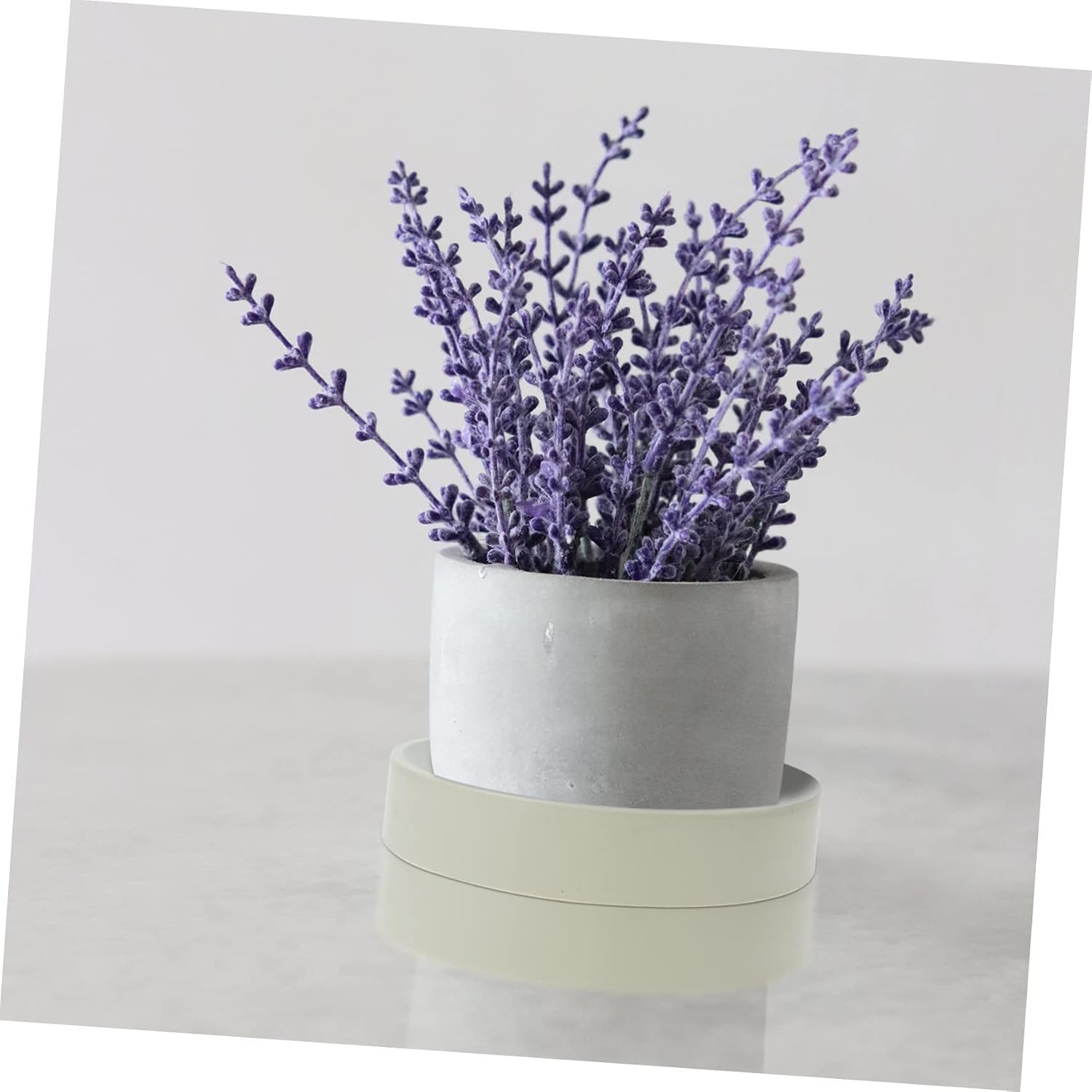 YARNOW Mobile Planter Tray Wheel Indoor Plant Garden Nursery Pots Plant Pot Tray Planter Trolley Casters Flower Pot Rack Mover Caddie Pot for Plants Outdoor Seedling Pots Rollers White Pp