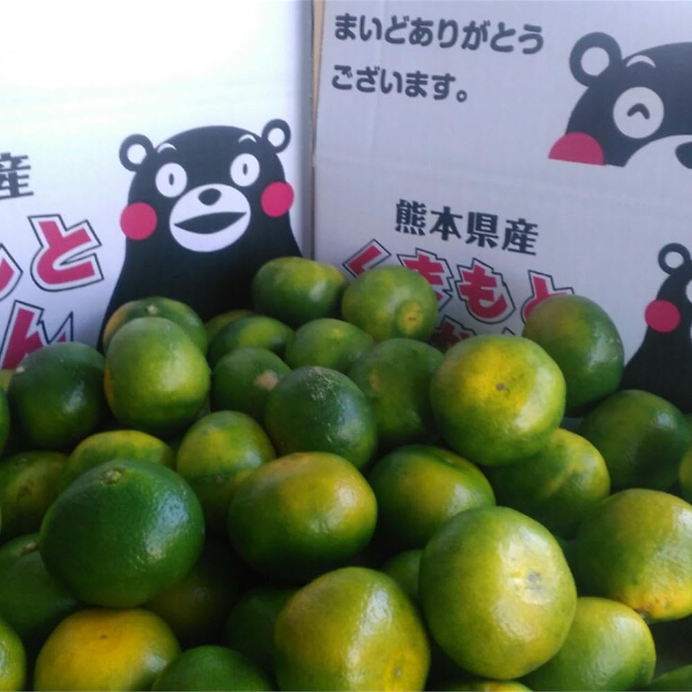 Amazon.co.jp: みかん 訳あり 大容量 箱込15キロ 熊本産 フルーツ