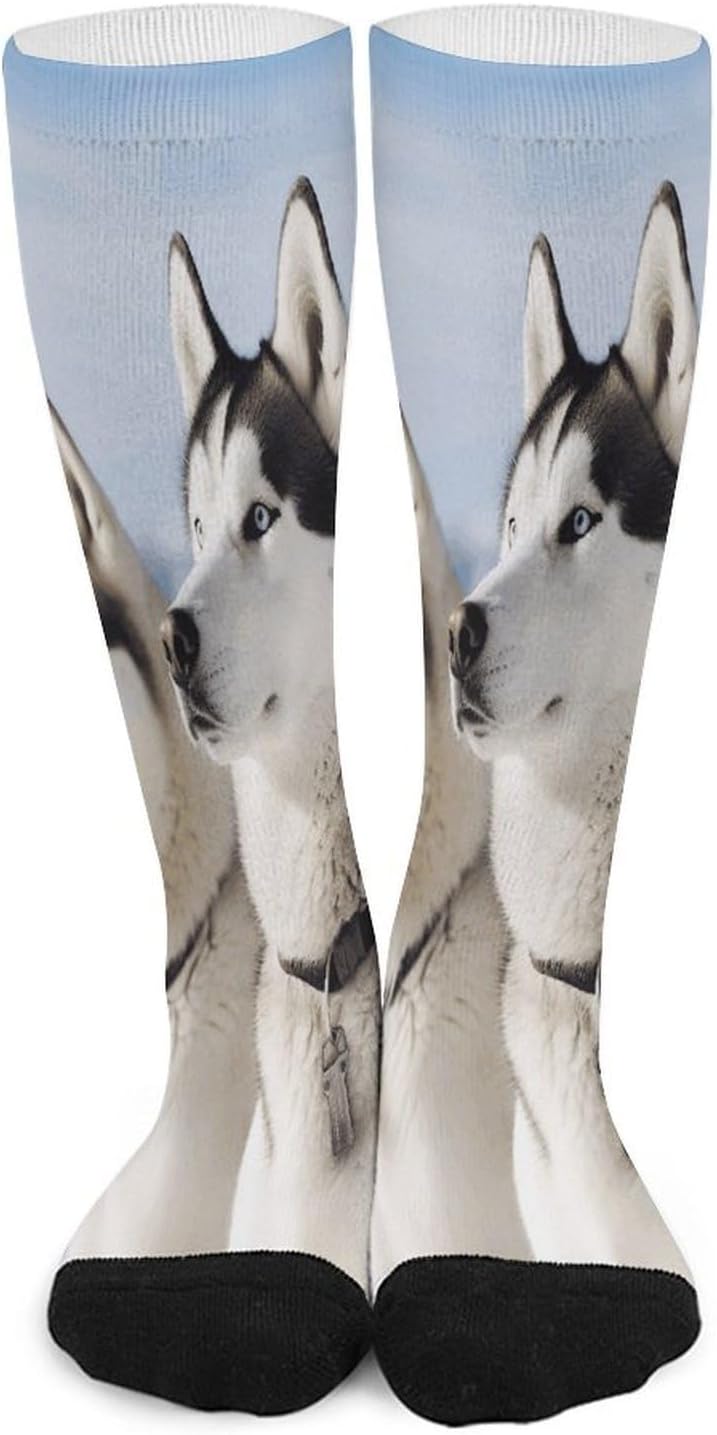 Husky Dogs Compression Sock Circulation Support Socks Lightweight Knee High Tube Sock Over-The-Calf Sock for Adult