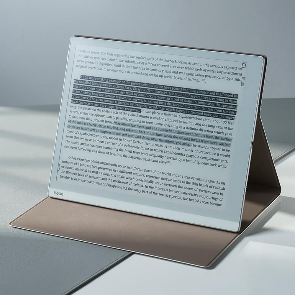 BOOX Go 10.3 Etui Klapką Magnetyczne Składane Stojak