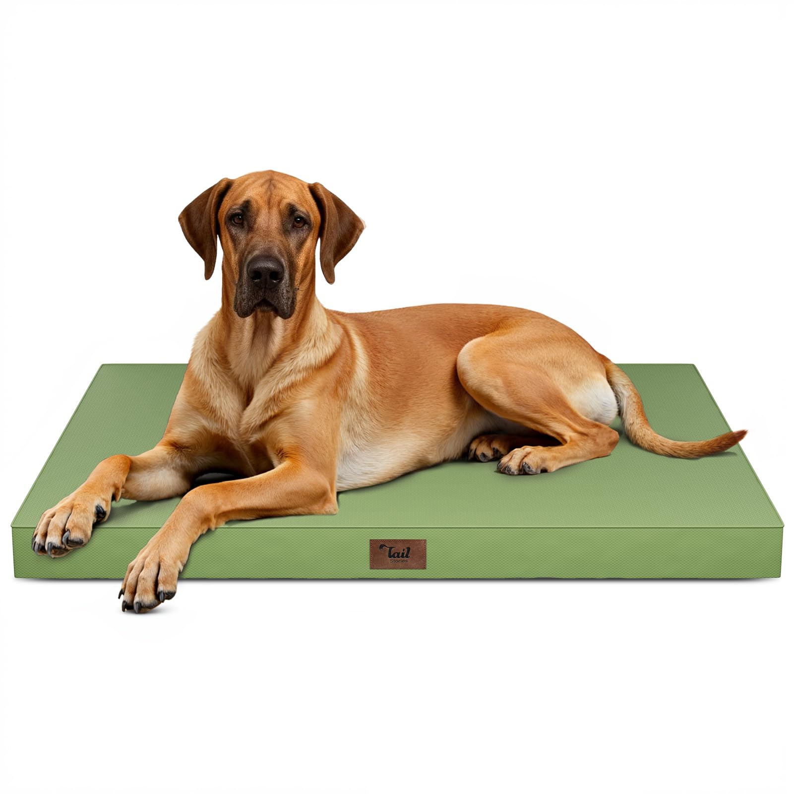 Jumbo Waterproof Orthopedic Dog Bed for Extra Large Dogs