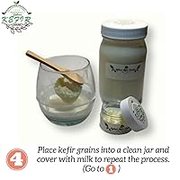 Vista 6 de Granos de kéfir de leche fresca - 1 cucharada