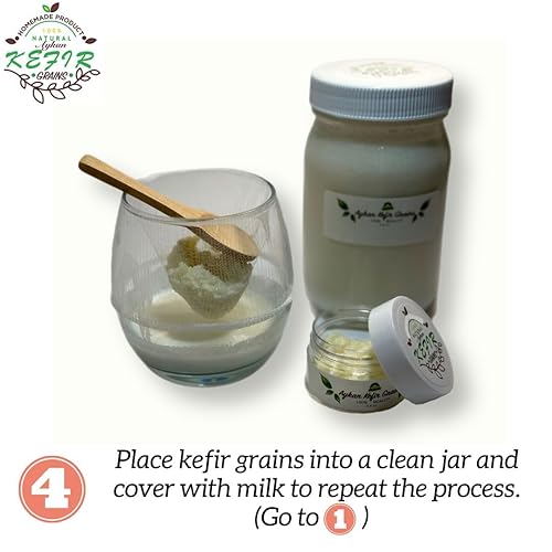 Miniatura 6 de Granos de kéfir de leche orgánica fresca - 1 cucharada