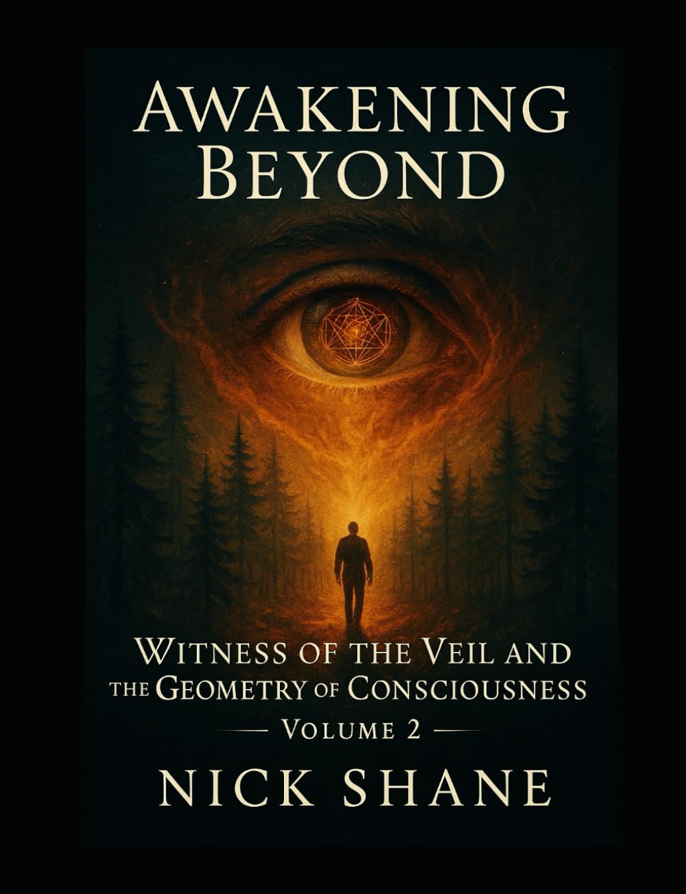 Awakening Beyond: The Witness of the Veil and the Geometry of Consciousness