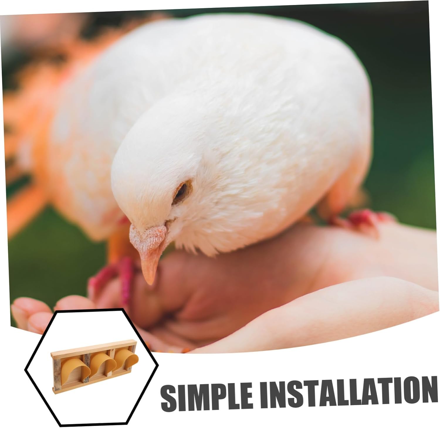 BESPORTBLE European Style Pigeon Racing Door with Access Points Durable Bird Cage Entrance for Efficient Pigeon Handling and Training for Racing Enthusiasts