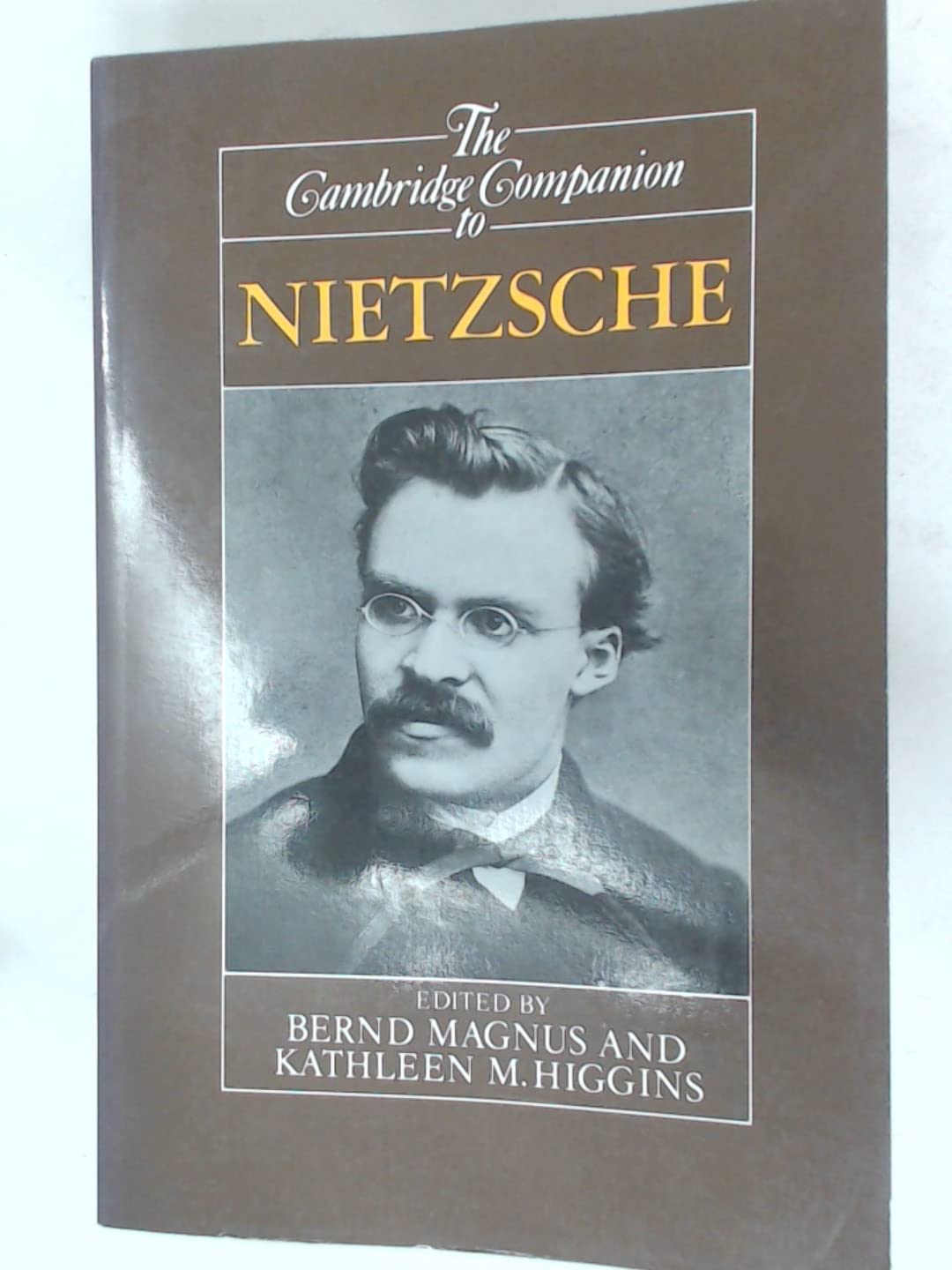 The Cambridge Companion to Nietzsche (Cambridge Companions to Philosophy)