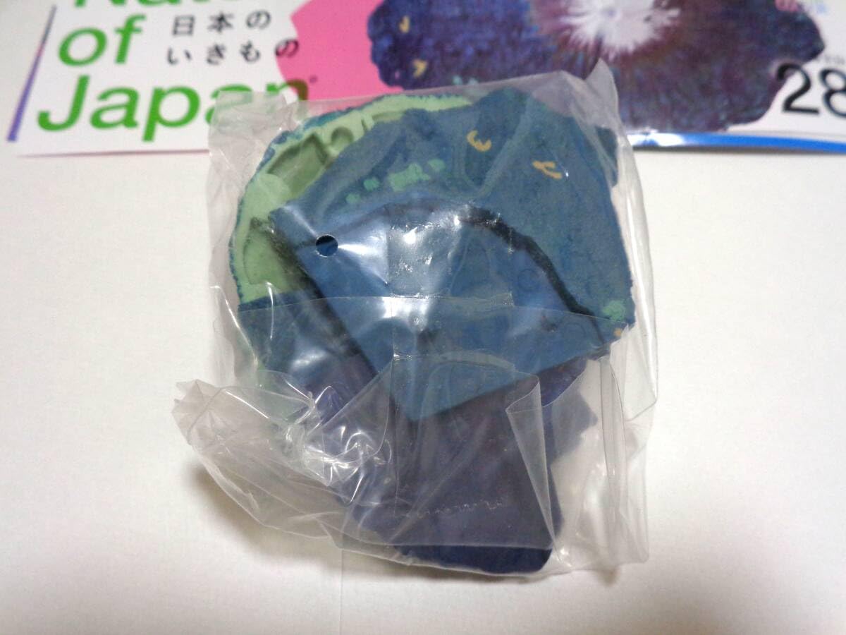 Amazon | 日本のいきもの 03 28 富士山 ネイチャーテクニカラー