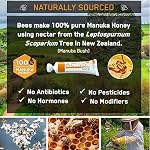 ActivOn Medical Classe 100 pour cent Manuka Honey Gel Tube guérison naturelle des plaies,1 Ounce (paquet 1)