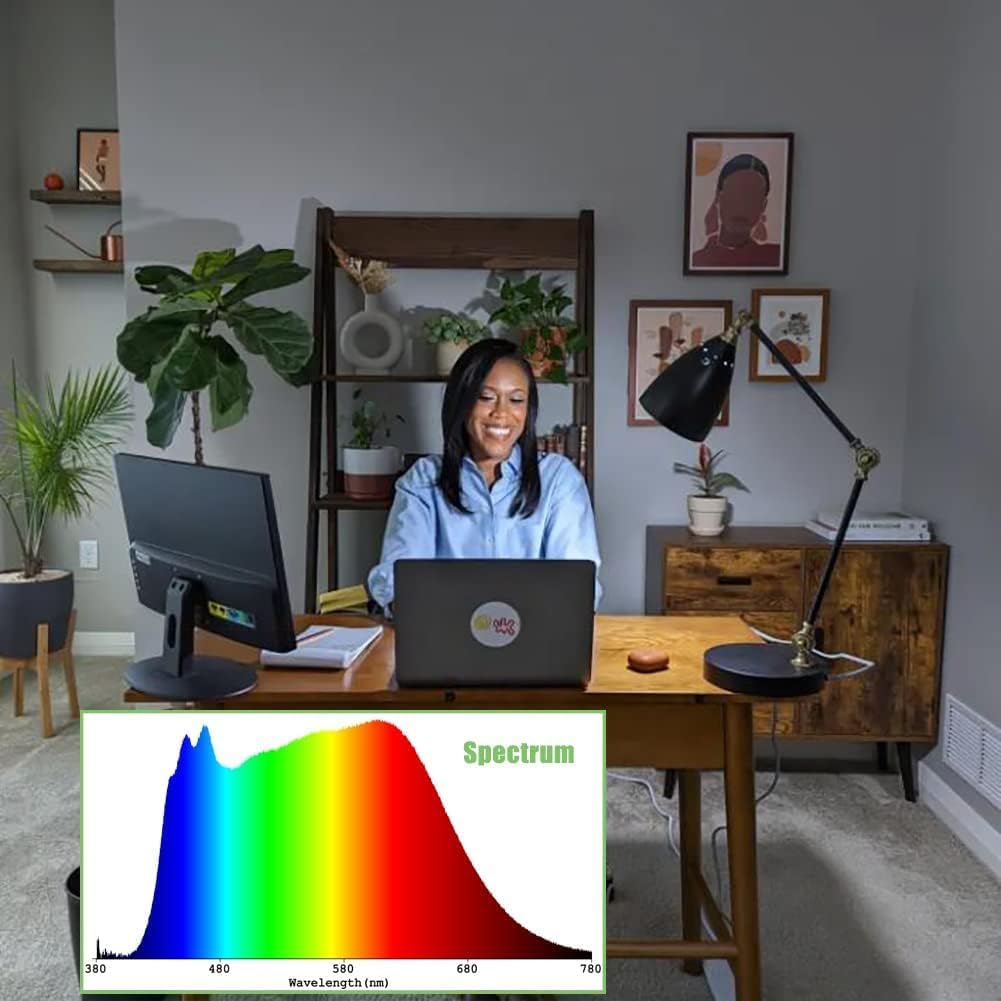 Full Spectrum Light Bulb, 5000K Natural Sunlight Bulb for Home, Dimmable LED Light Bulbs, 11W Equivalent 100W, A19 E26, Boosts Mood & Energy, 3 Pack