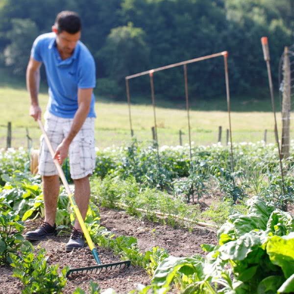 LEBORGNE - Râteau Duopro 14 Dents Courbes sans Manche - Outillage de Jardin - Râteaux - pour Ratissage, Nivelage, Épandage - Professionnels BTP et Jardinage