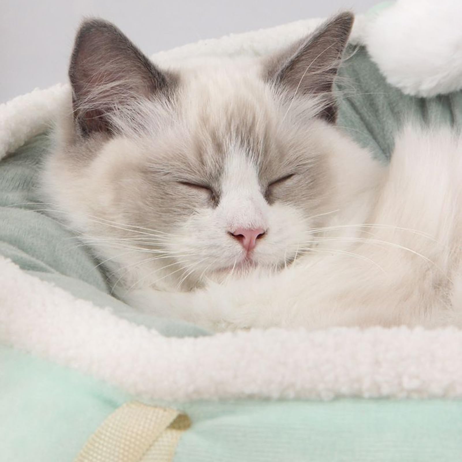 Hamaca Para Gatos Interior Transpirable Cachorros | Cama Cálida para el Dormir de los Gatos para Dueños de Mascotas Amantes de Animales Refugios Apartamento Casa Sala de Estar