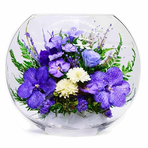 Fiora Long Lasting Orchids in Glass Vase
