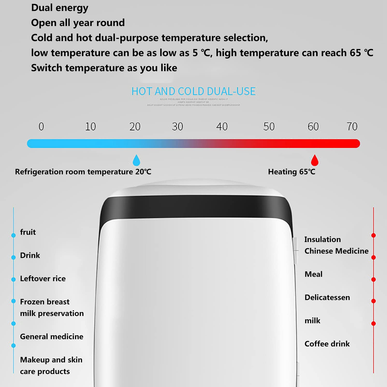 10L Mini Frigo Frigorifero Portatile Riscaldatore per Alimenti E Bevande Congelatore Scatola da Viaggio Mini Casa Campeggio Frigo Alimentazione AC + DC per La Casa Auto Campeggio Viaggi