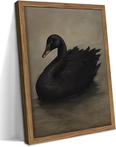 fancynew Arte de pared vintage de cisne negro oscuro de 8 x 10 pulgadas