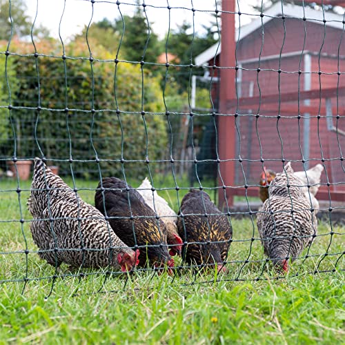 VOSS.farming farmNET-75 50m Hühnerzaun, Geflügelnetz, 112cm, 16 Pfähle, 2 Spitzen, grün, ohne Strom, Hühnernetz, Hundenetz, Katzennetz