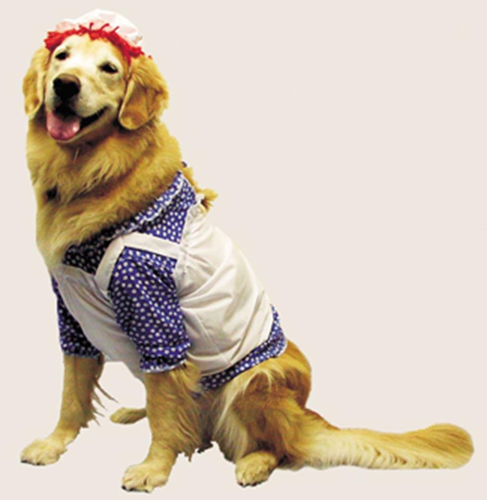 Raggedy Ann Dog Costume - Large