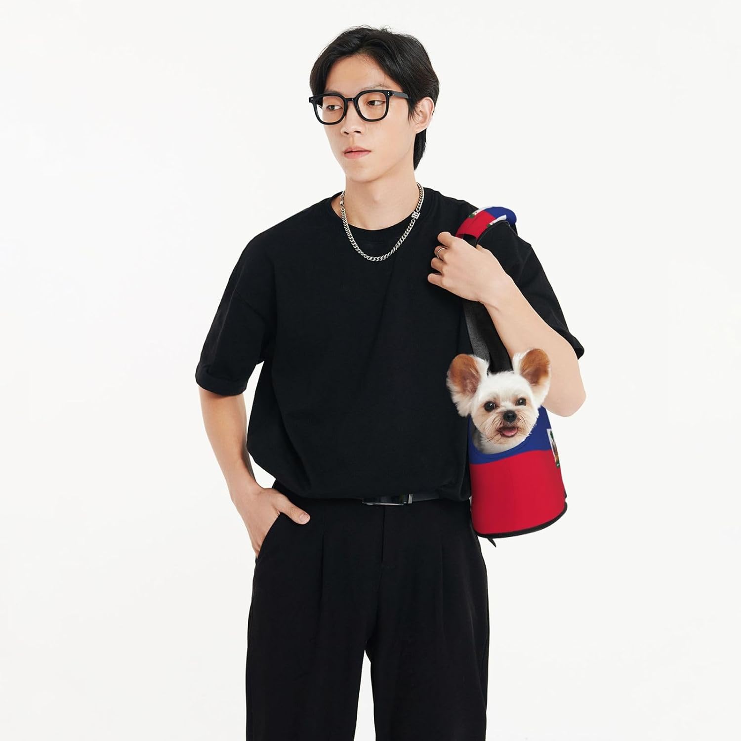 Haitian Flag Print Dog Purse Carrier for Small Dogs and Cats | Breathable Pet Carrier Bag & Portable Dog Travel Bag For Small Puppy Handbag, Secure Pet Purse For Outdoor Walking