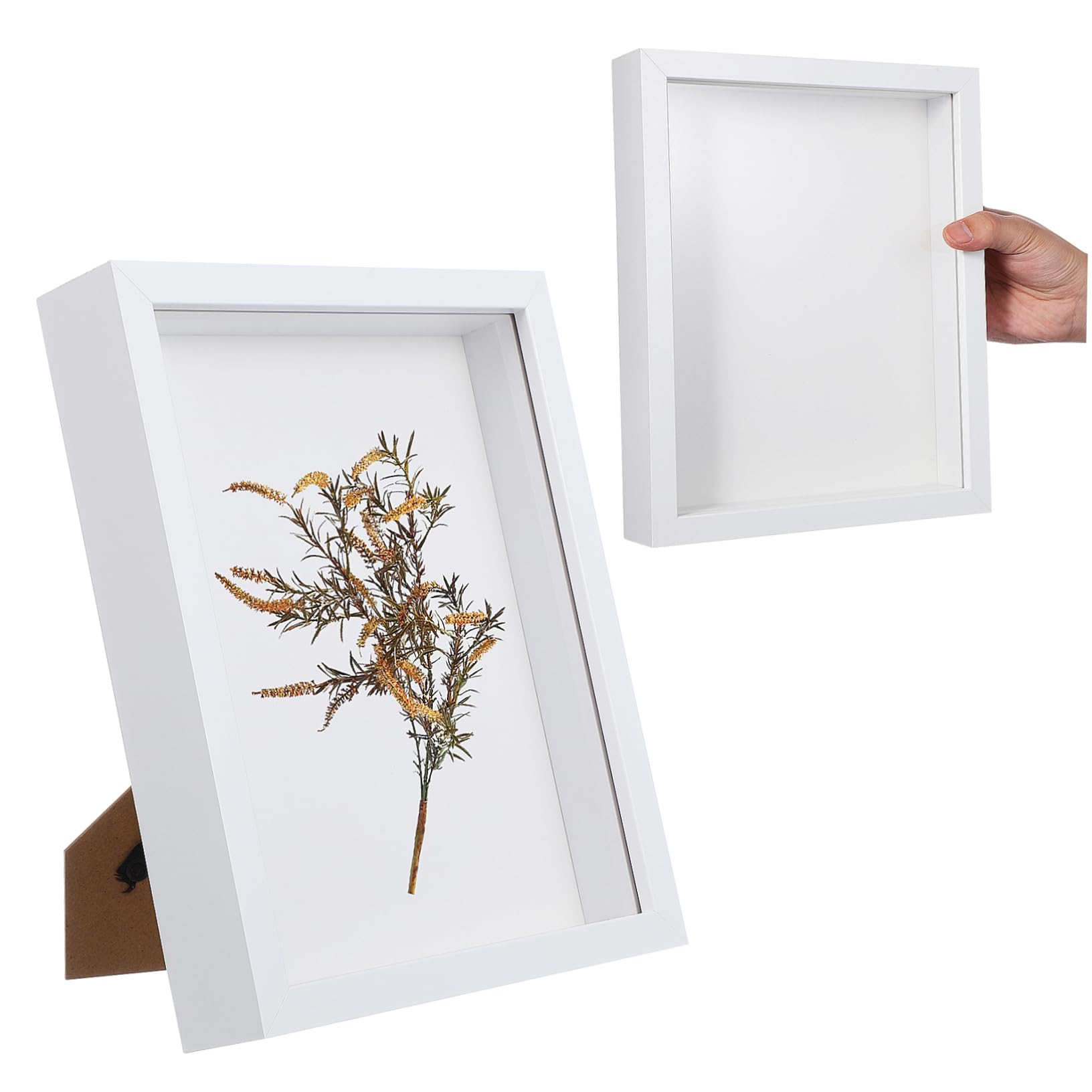 Vitrinas expositoras para recuerdos Cabilock ideales para regalar composiciones florales secas