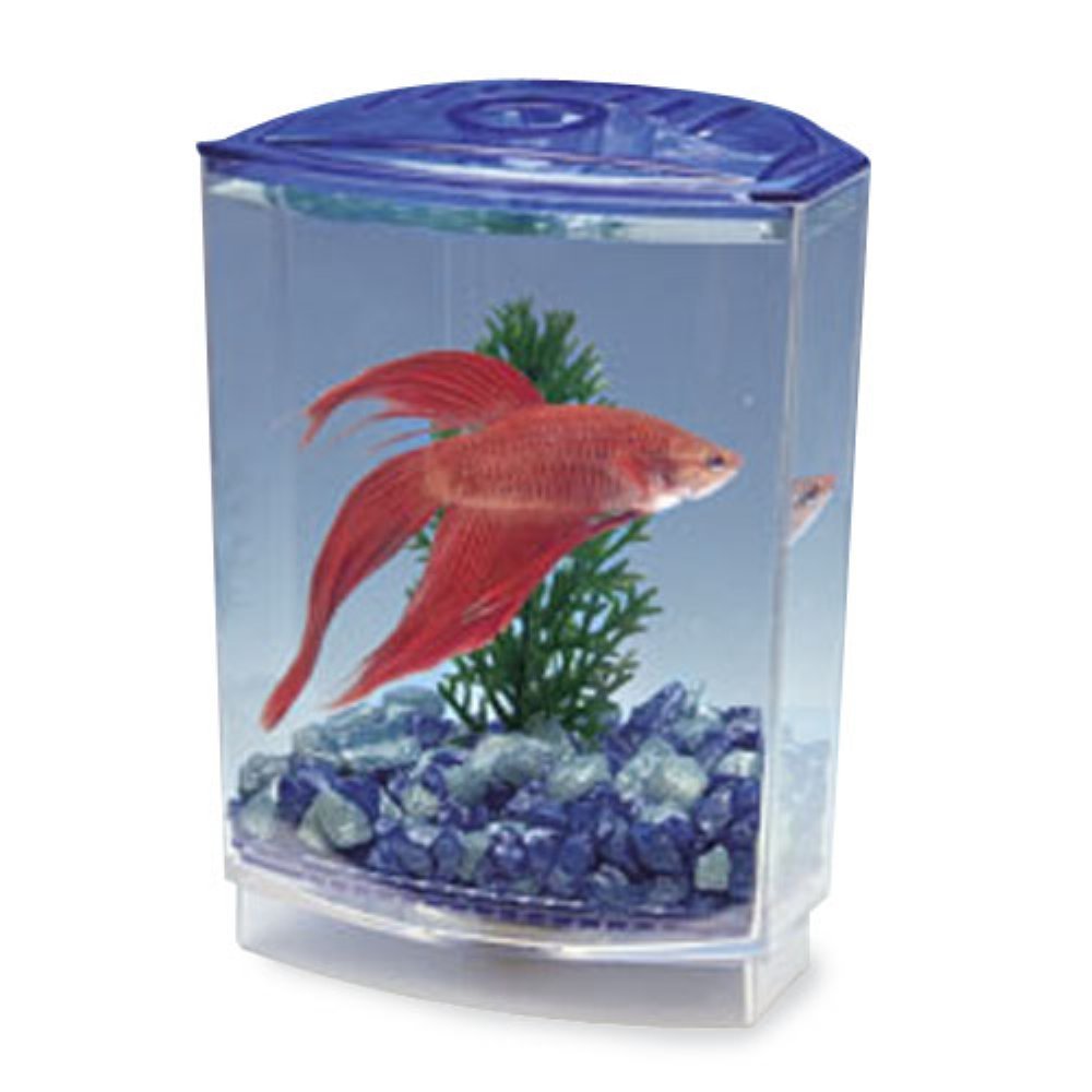 Penn Plax Tank 20g