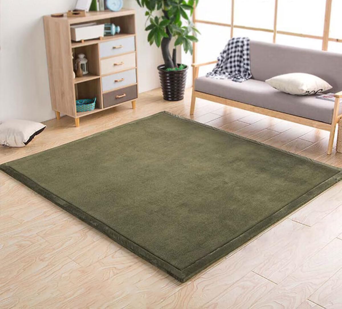 Dmkjdzsw Crawling Mat for Baby Non-slip，Nursery Rug，Coral Velvet Area Rugs，2cm Thick Kids Carpet