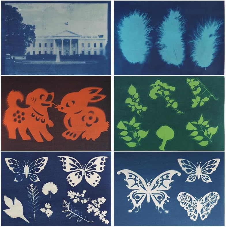 Miniatura 3 de 30 hojas de papel cianotipo, kit de papel de arte solar, papel de sol de alta sensibilidad, papel de dibujo solar, papel de impresión de naturaleza