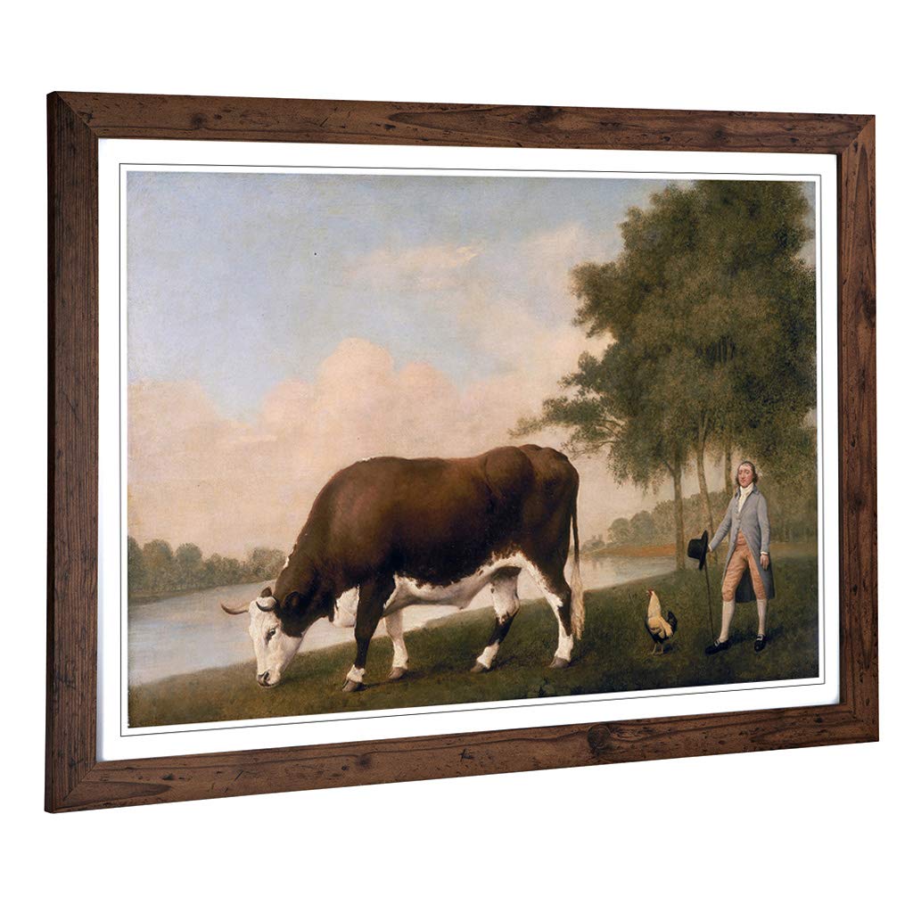 Big Box Art Framed Print of George Stubbs The Lincolnshire Ox Design | Wall Art Picture | Home Decor for Kitchen, Living Room, Bedroom, Hallway, Walnut, A2 / 24.5x18 Inch / 62x45cm
