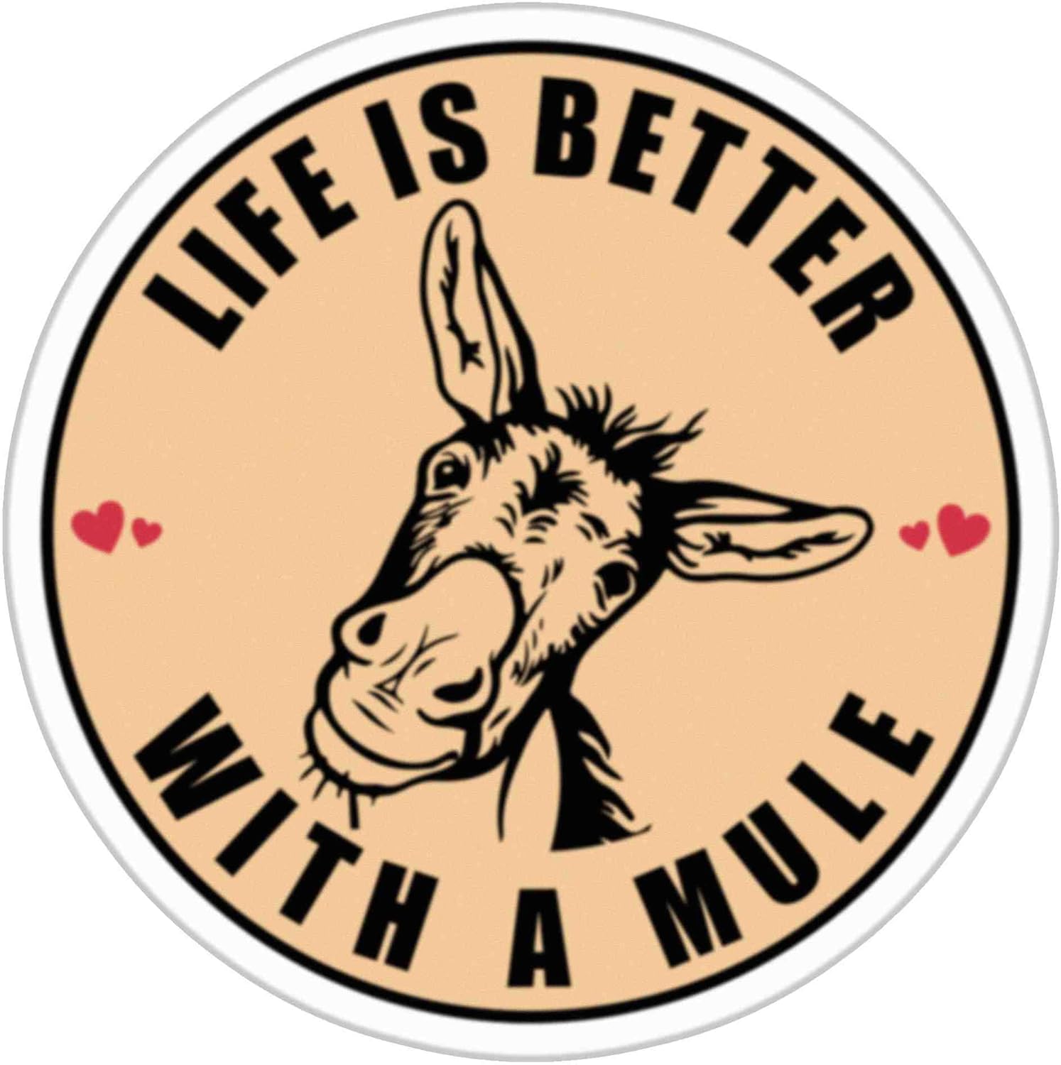 Amazon.com: FunnyScenes Donkey Mule Sticker, Multicolor, Vinyl, Cartoon ...