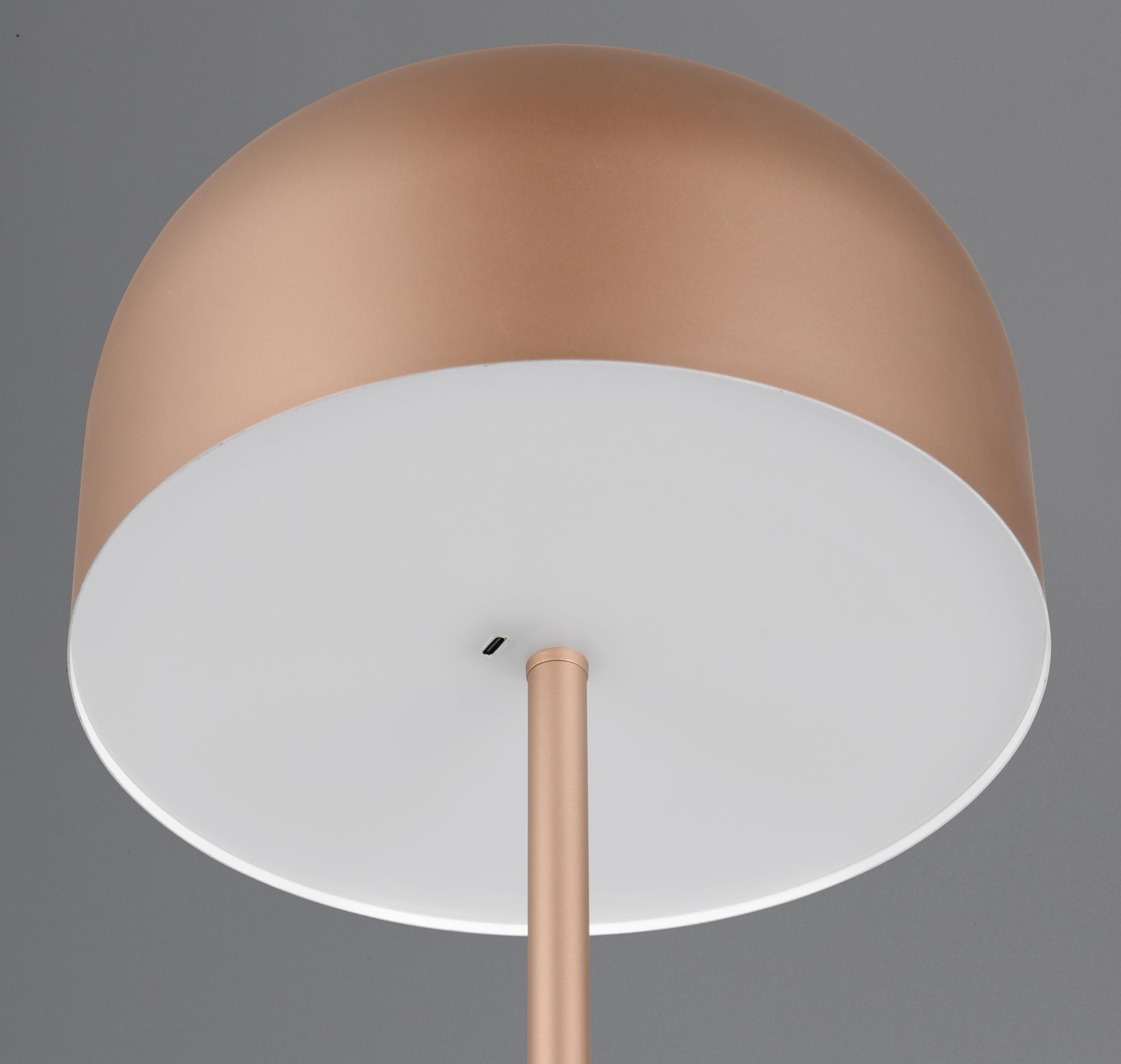 Reality Leuchten lampa stojąca LED z akumulatorem Jeff R49151165, metalowa kawa, w zestawie 2,5 W LED