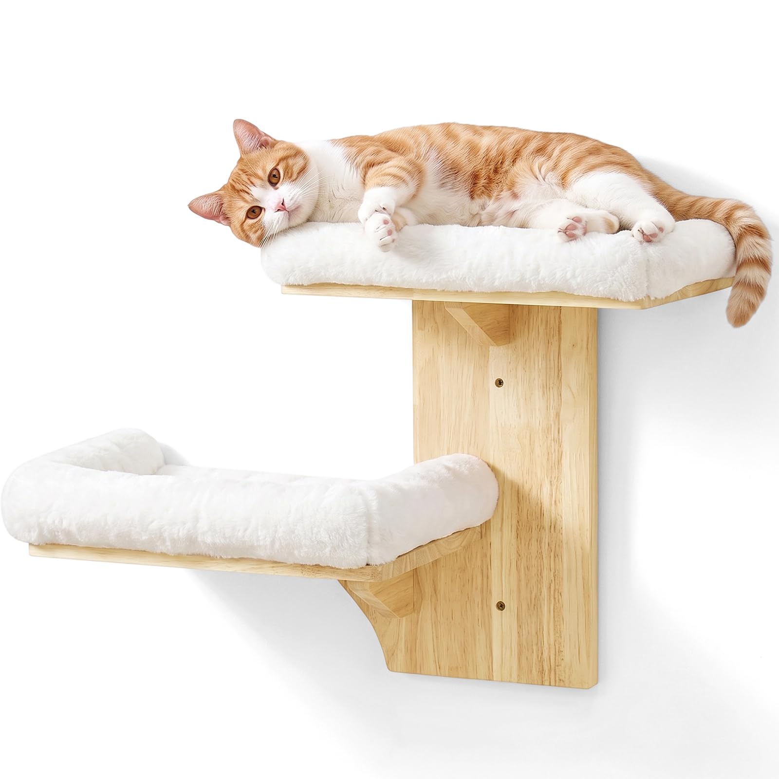 Kletterwand Katze, Doppellagig Plattform-Katzen-Wandmöbel aus Massives Gummiholz, Kleiner Katzenbaum, 40,6 cm Wandmontiertes Katzen mit Plüschbett, Wandregale zum Klettern, Spielen (Plüsch)