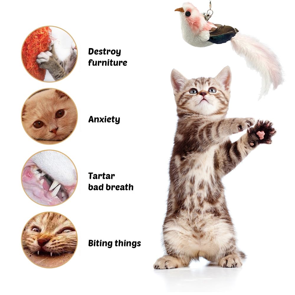 DONGKER 6 Ricambi In Piuma Per Giocattolo Gatto | Con Campanelli, Interattivi Per Cuccioli