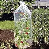 Gesunde leckere Tomaten dank schützenden Tomatenhauben. Kinderleichte Handhabung: einfach die gewünschte Länge vom Schlauch abschneiden, über die Pflanze ziehen, oben und unten zubinden - fertig!