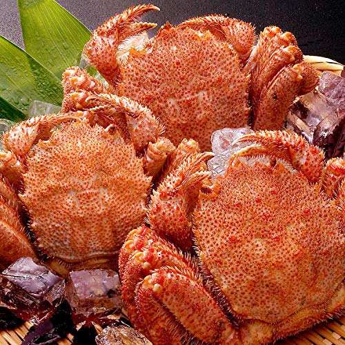 毛ガニ 通販 お取り寄せ特集 Amazon Co Jp