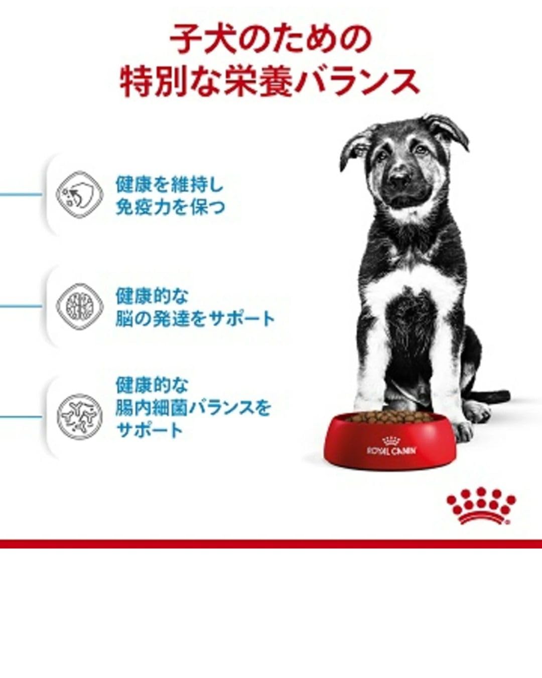 Amazon.co.jp: 【ロイヤルカナン マキシ パピー 犬用 4kg】犬用