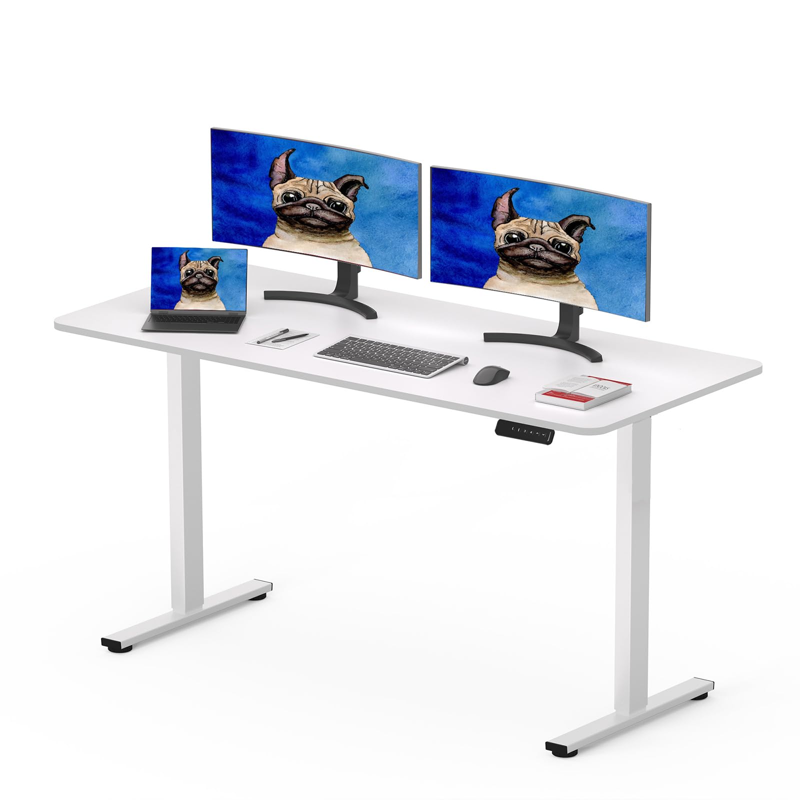 SANODESK Elektrischer, höhenverstellbarer Schreibtisch, 120 x 60 cm, höhenverstellbare Tischplatte, 4 Voreinstellungen, intelligentes Panel, Weiß