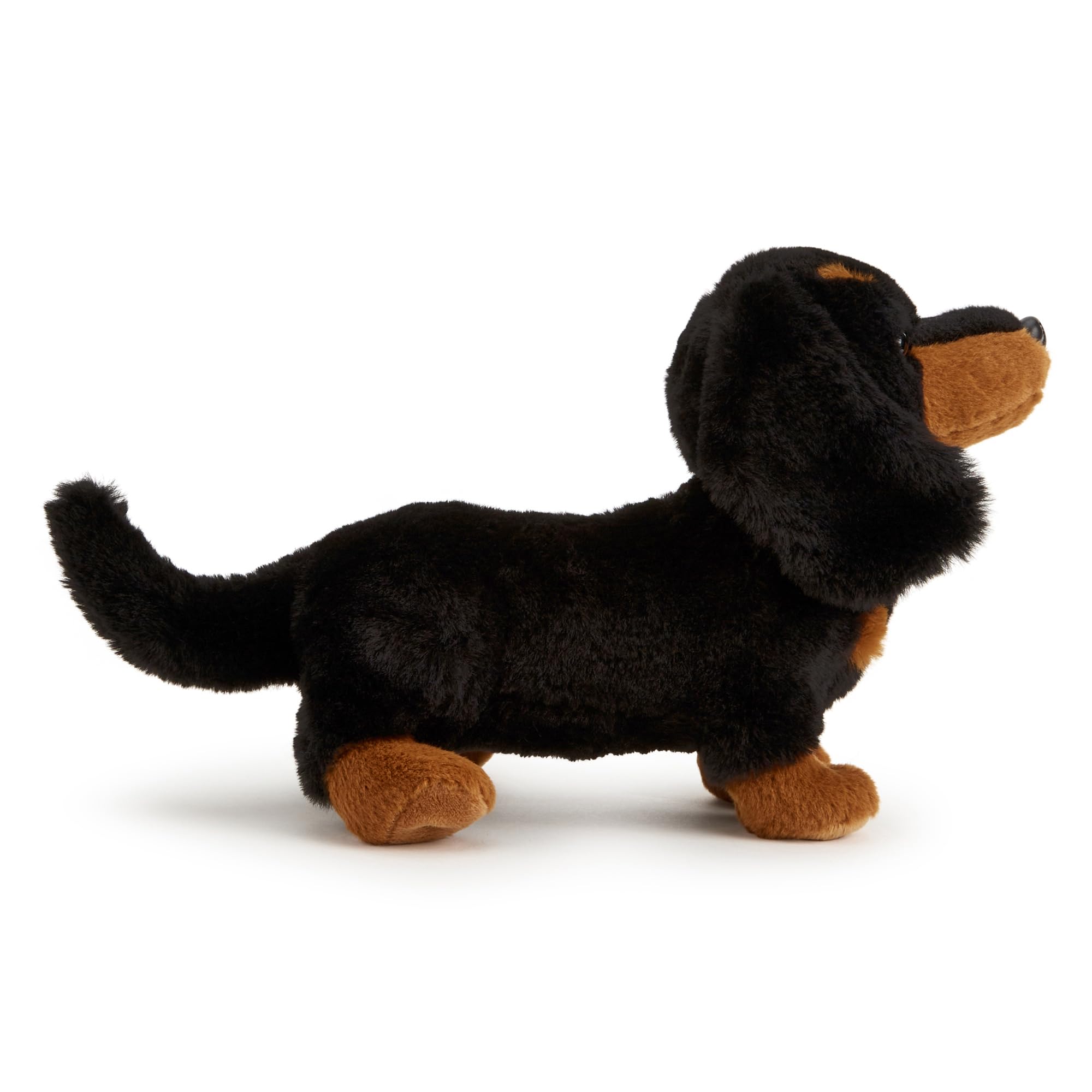 Zappi Co Daisy el Perro Salchicha de Peluche (20 cm) - Delicia de Perro Salchicha - Suave, Agradable, 100% Reciclado - Adorable Amigo Largo — view 2